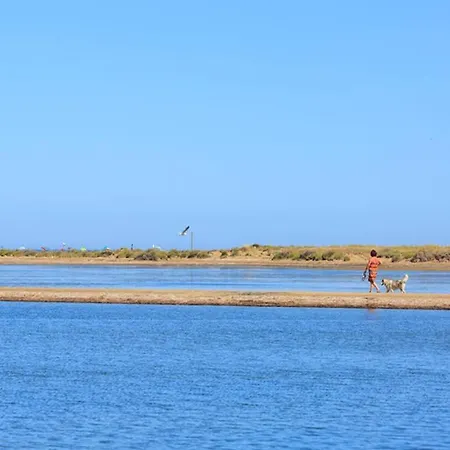 En Bord De A Pierre La * Saint-Pierre-la-Mer (Aude)